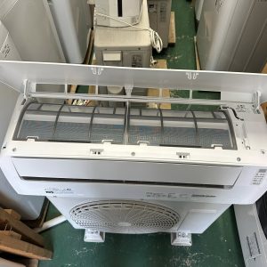 538587407 3095469060615424 3660437231956745541 n