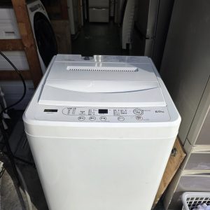 584622454 3183655658463430 5073650583984347050 n