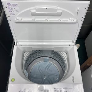 611654936 3234165830079079 8138208599045753618 n