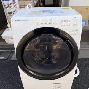 653463362 3303356563160005 9143549323494130372 n