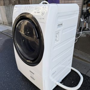 654168917 3303356696493325 6321740530441807917 n